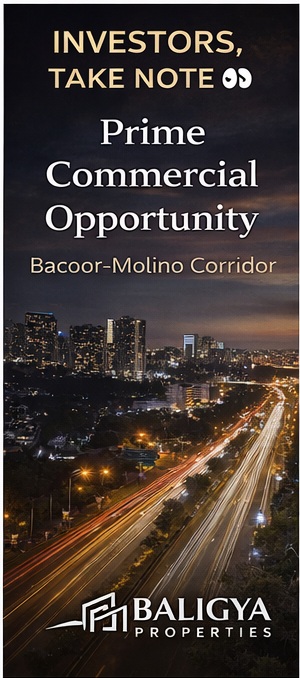 Strategic Commercial Corridor Site – Bacoor Boulevard 4 bacoor blvd slide 1