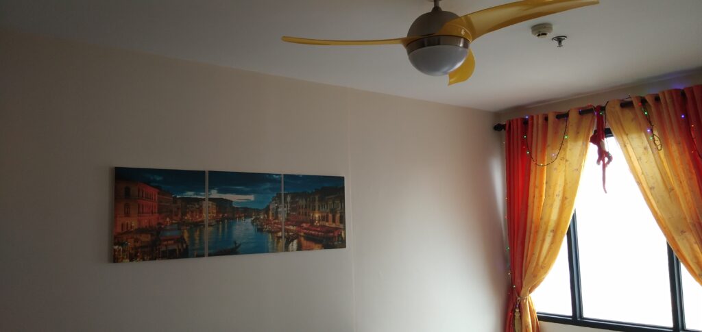 Ceiling Fan accent matching Living room curtains