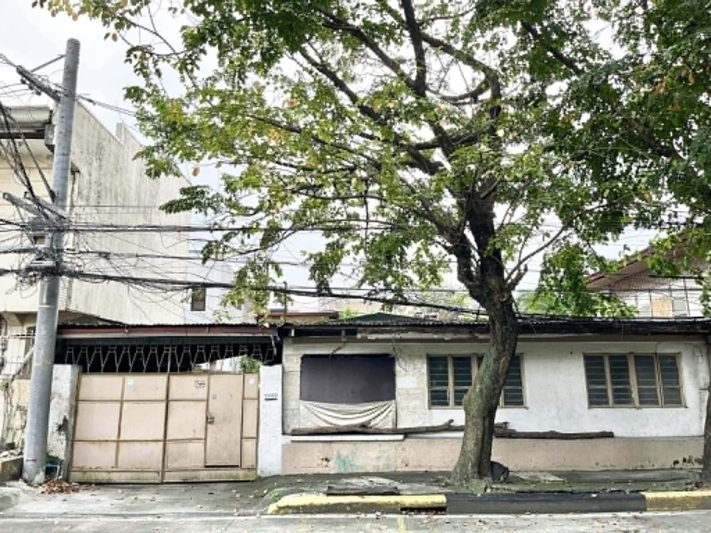 302 sqm lot plan new zaniga mandaluyong